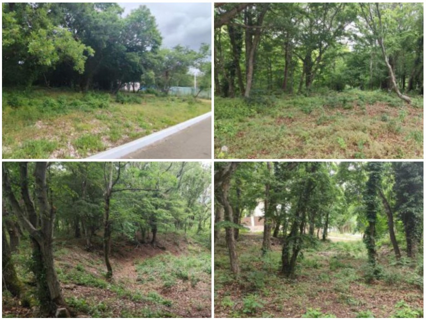 На благоустройство нового экопарка в Краснодарском крае потратят 122 млн рублей