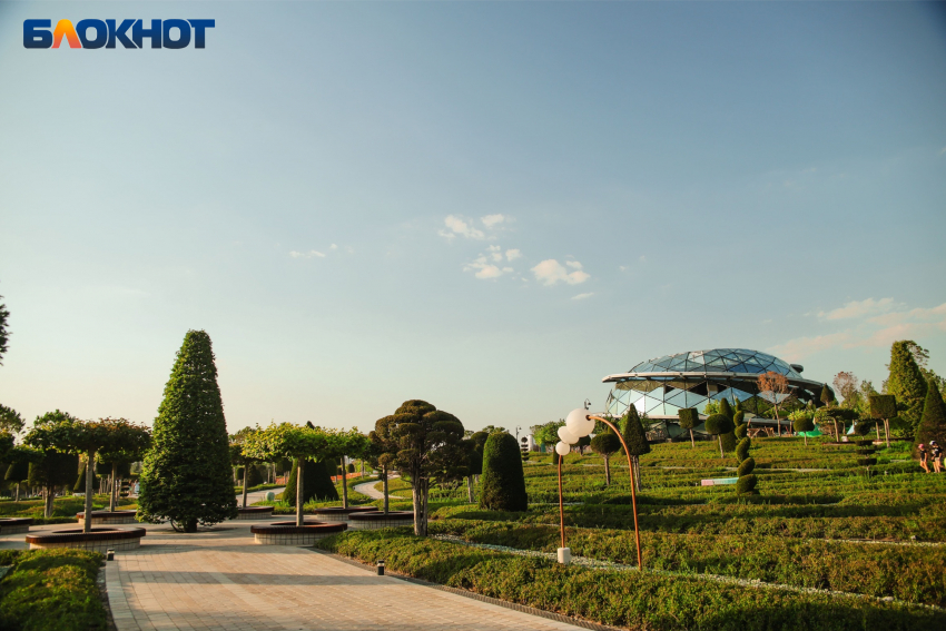 За окном сентябрь провода качает: какие нововведения ждут жителей Кубани и всей России с 1-го дня осени