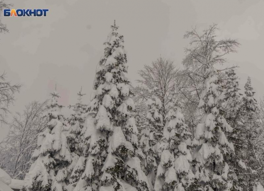 В горах Сочи выпало 40 см снега