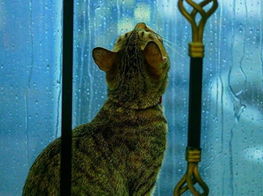 Гроза осветит утро в Краснодаре