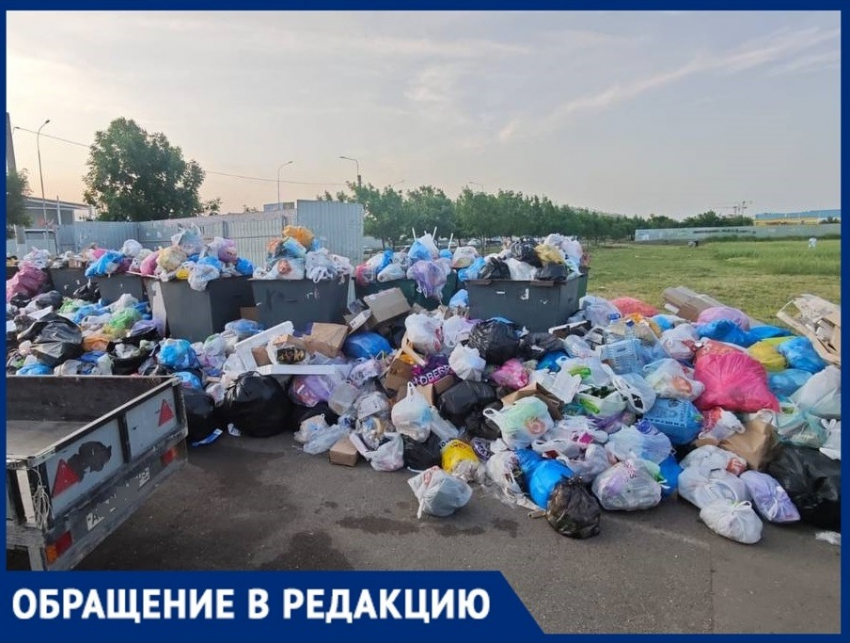 «Утопаем в помойке»: ЖК в Краснодаре оккупировали крысы и отходы