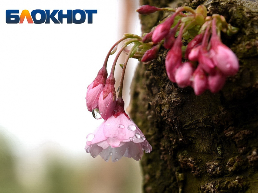 На Краснодар надвигаются тучи и понижение температуры