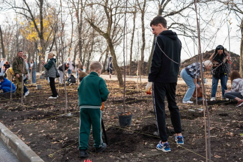 Фруктовый маршрут: DOGMA высадила плодовую аллею в микрорайоне «Самолет»