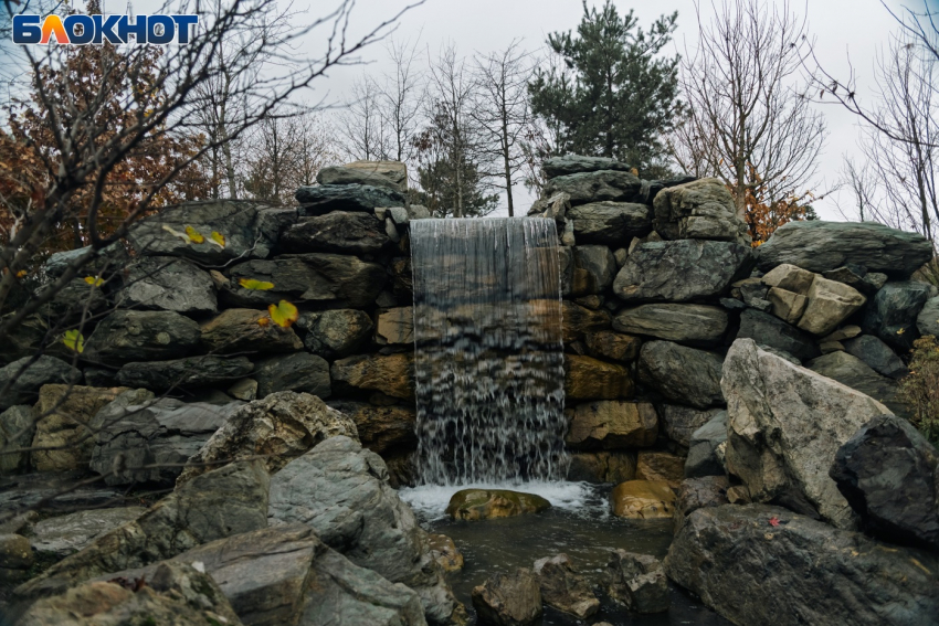 Масленица в Краснодаре начнется с небольшого дождя 