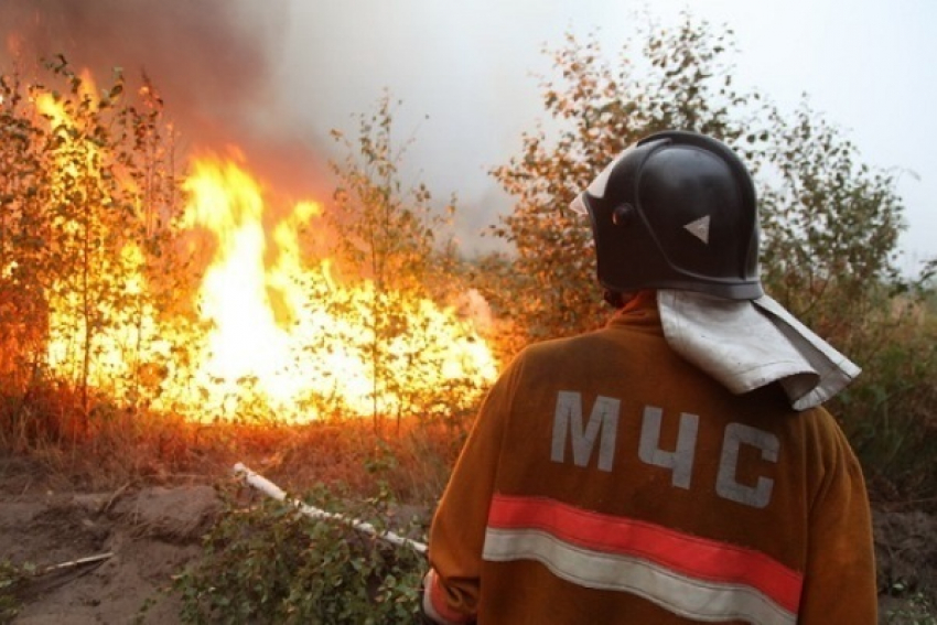 Масштабный пожар в Геленджике: спасатели ввели режим ЧС