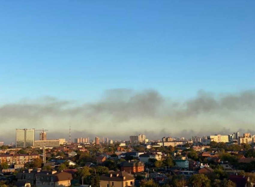 Кубанский Роспотребнадзор не выявил превышения концентрации вредных веществ в едком смоге