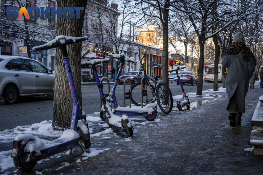 Краснодарцев предупредили о ветре с порывами до 15 м/с