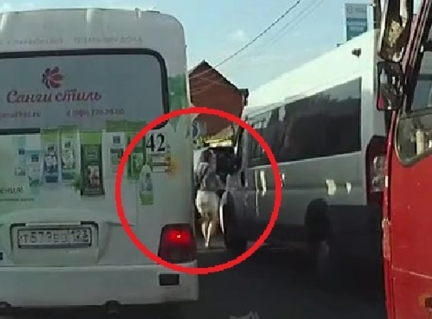 «Десант смертников» оставил посреди дороги водитель автобуса в Краснодаре