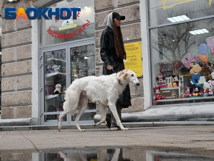 Стало известно, когда в Краснодар придет похолодание 