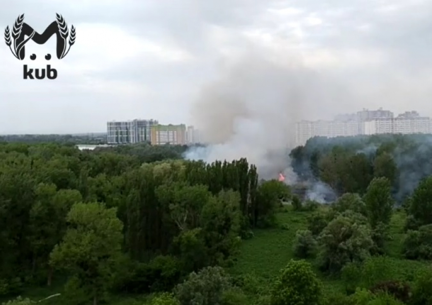 Появилось видео крупного пожара в лесопарке Краснодара