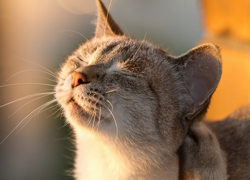 Предстоящий понедельник в Краснодаре будет теплым и солнечным