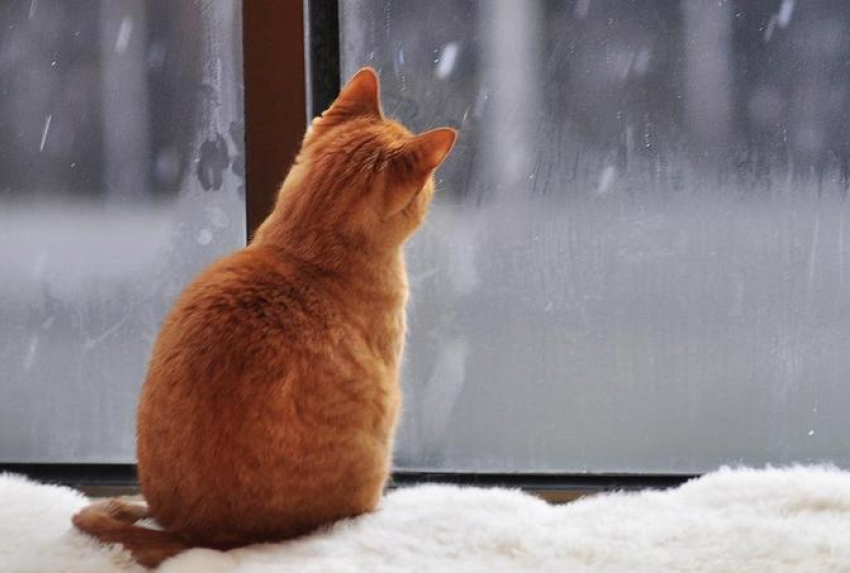 На Кубани пасмурно, местами пройдут дожди со снегом