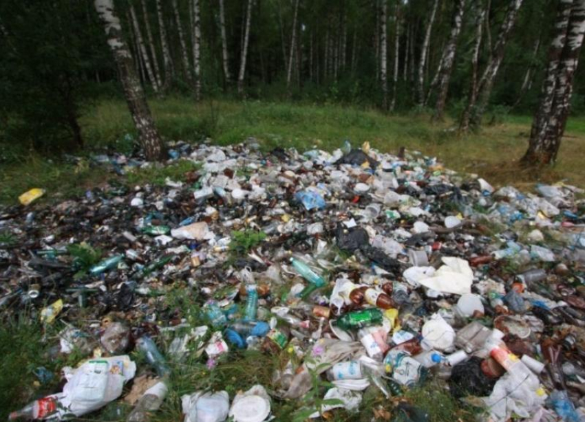 Мэрия пообещала решить проблему мусорных свалок в Краснодаре с помощью пабликов 