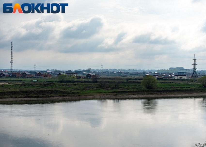 В станице Краснодарского края у коров нашли вирус лейкоза