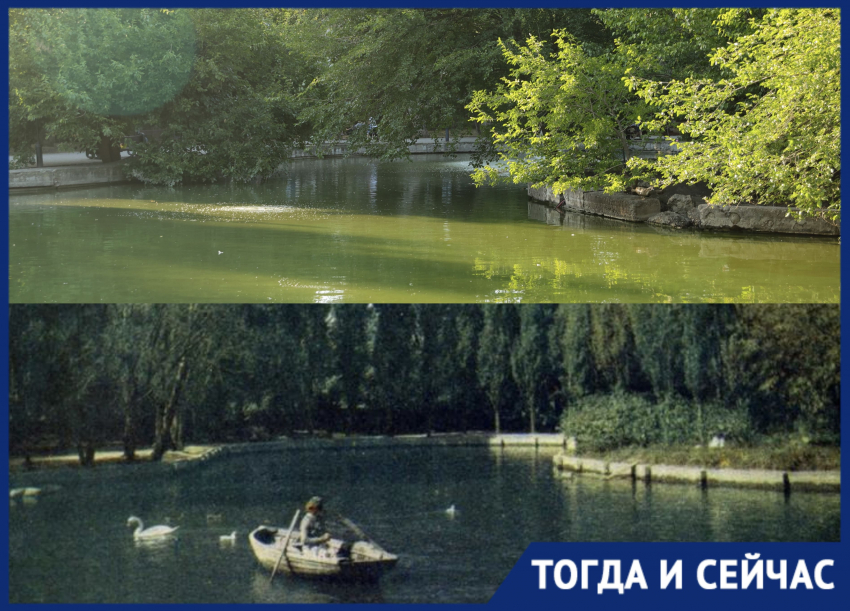 Водоем времени: что хранит прошлое Краснодара в Городском саду