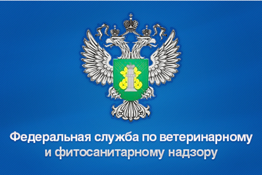 Фитосанитарная служба. Федеральная служба по ветеринарному и фитосанитарному надзору. Вет фитосанитарной управлении. Логотип РСХН. Фитосанитарный контроль иконка.