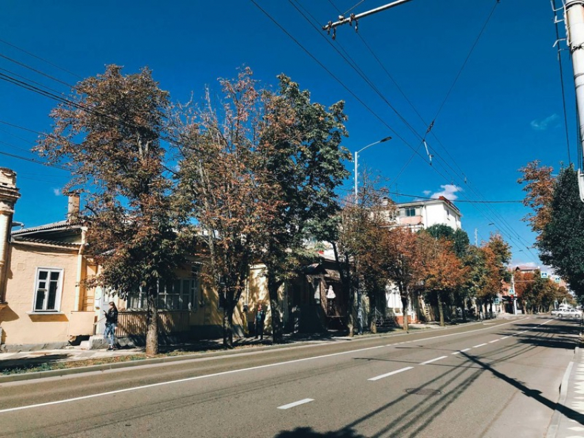 В последний день «новогодних каникул» на Кубани +14 градусов 