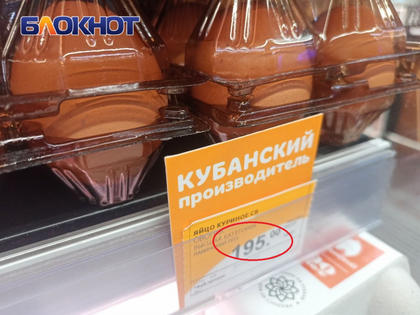 В Краснодаре куриные яйца подорожали на 51 рубль
