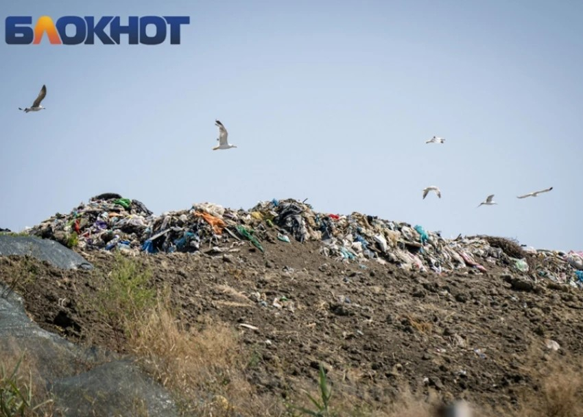 Кубань перешла в режим повышенной готовности из-за мусора и крыс