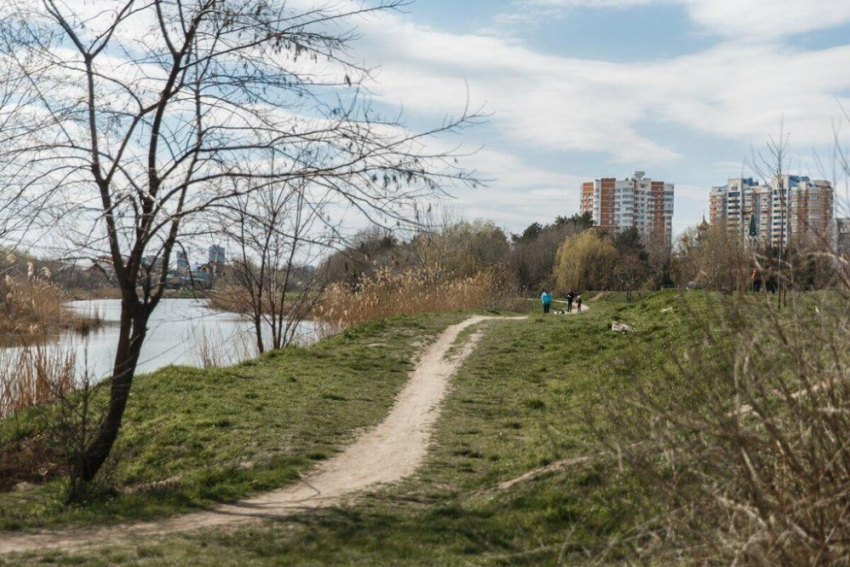 В Народном парке Краснодара могут создать велодорожку