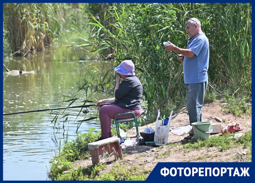 Рай для рыбаков с неприятным запахом: чем привлекает и отталкивает ловля на реке Кубань