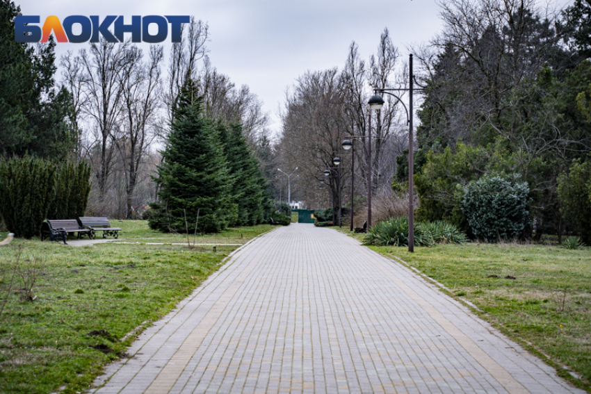 От +10 до 0: температурные пляски устроит зима перед уходом в Краснодаре