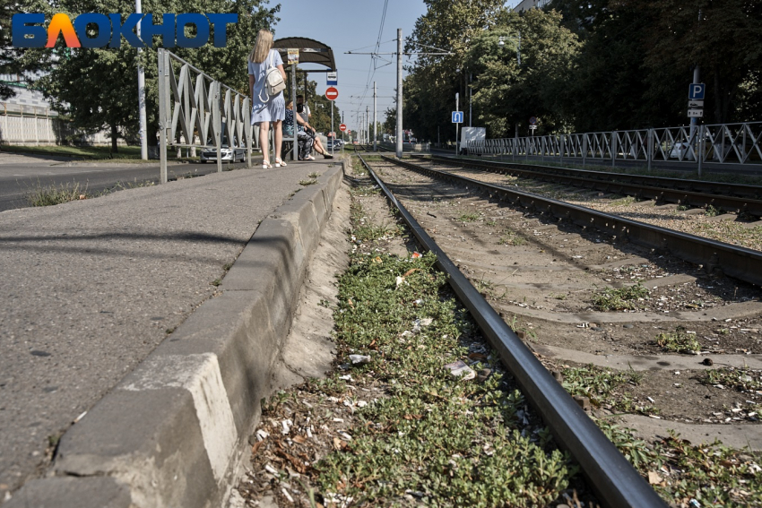 В Краснодаре трамвайная остановка утопает в окурках