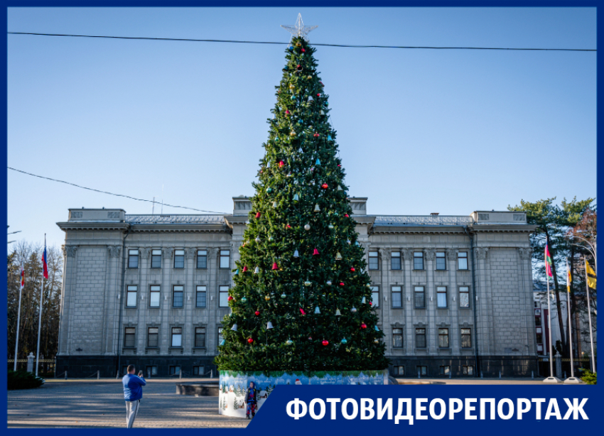 Без новых ёлок и новогодних украшений: на что власти Краснодара потратили 3,7 млн рублей