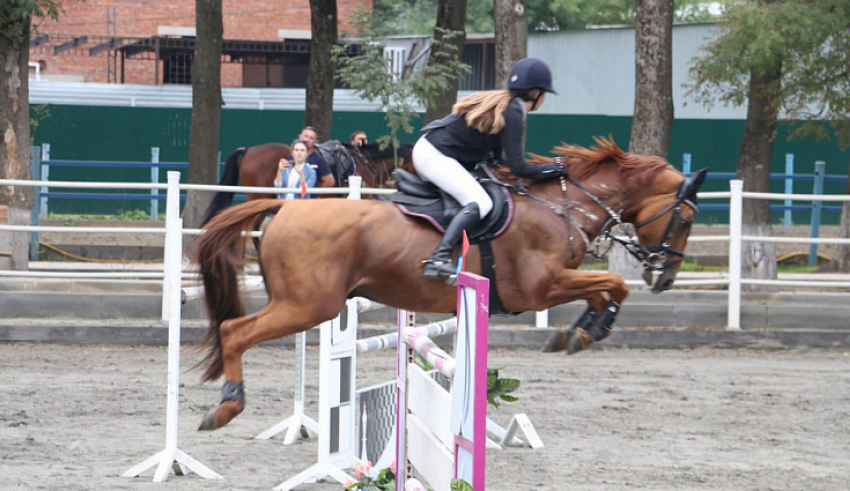 Соревнования по конному спорту прошли в Краснодарском крае