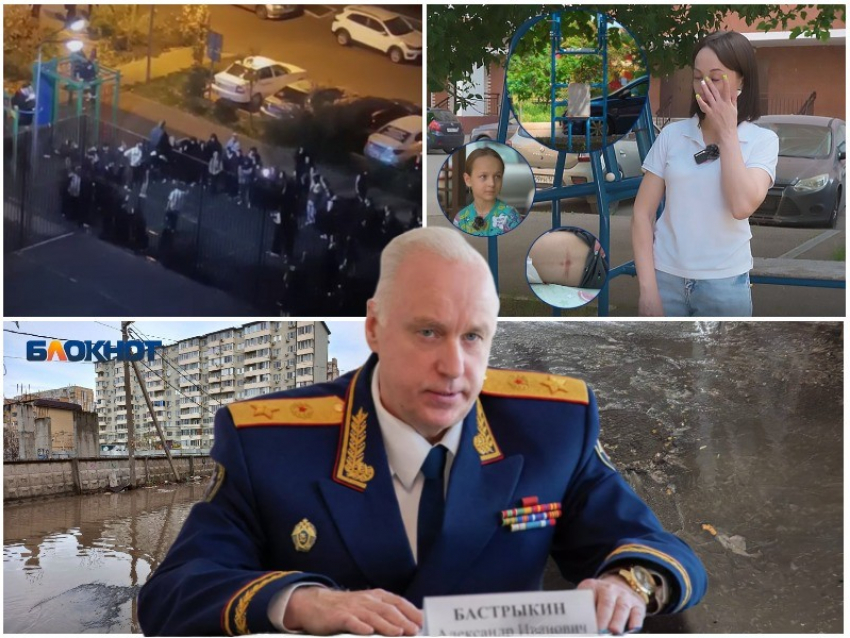 Нападения собак, банды и фекальные реки: какие проблемы краснодарцев в 2025 брал на карандаш Бастрыкин