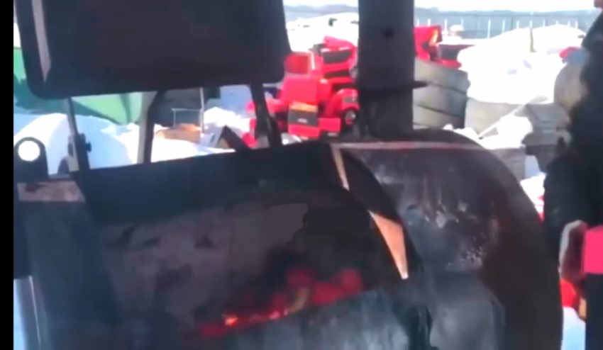 Опубликовано видео уничтожения в Краснодаре тонны красного перца из Польши