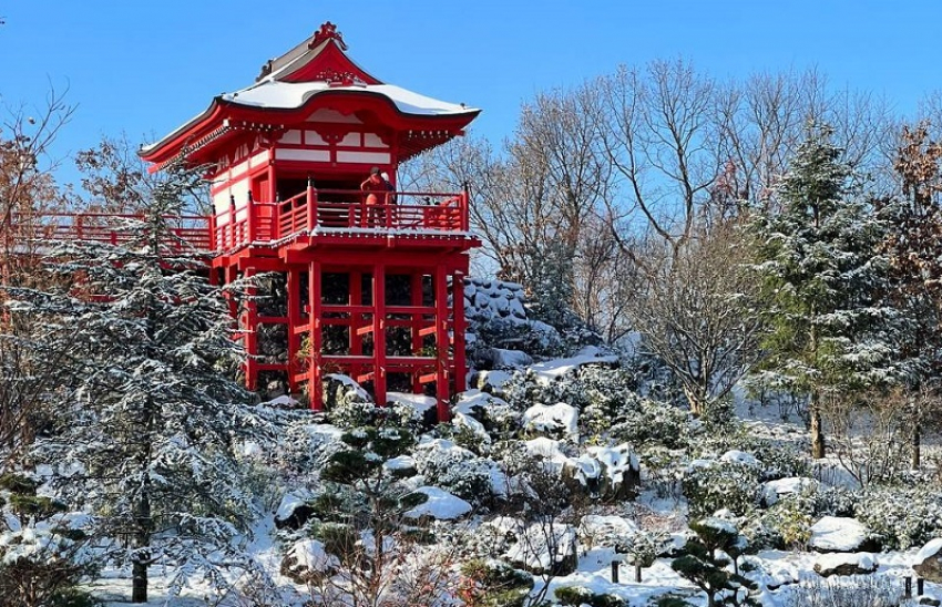В парке Галицкого и Японском саду после снегопада наступила зимняя сказка