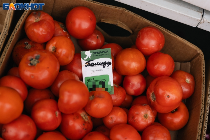 «Золотые» помидоры в Сочи: сколько тратят на овощи в разных городах Кубани 