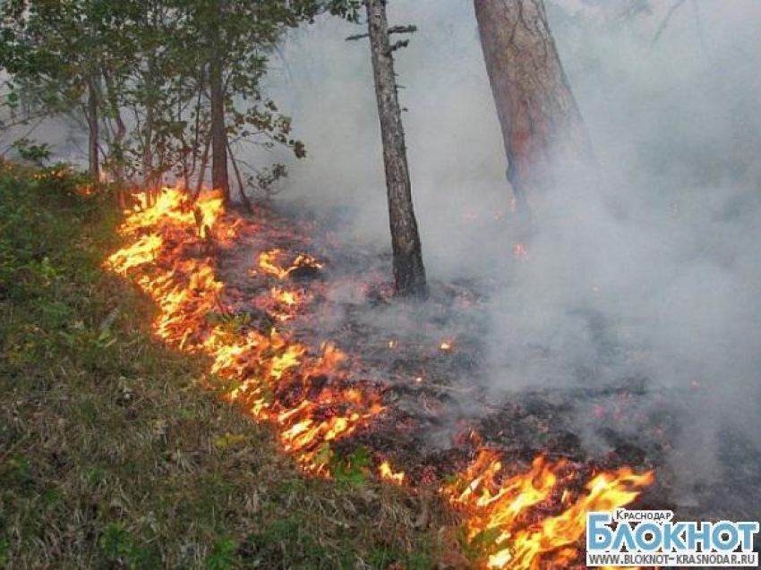В районе Геленджика произошло возгорание лесной подстилки