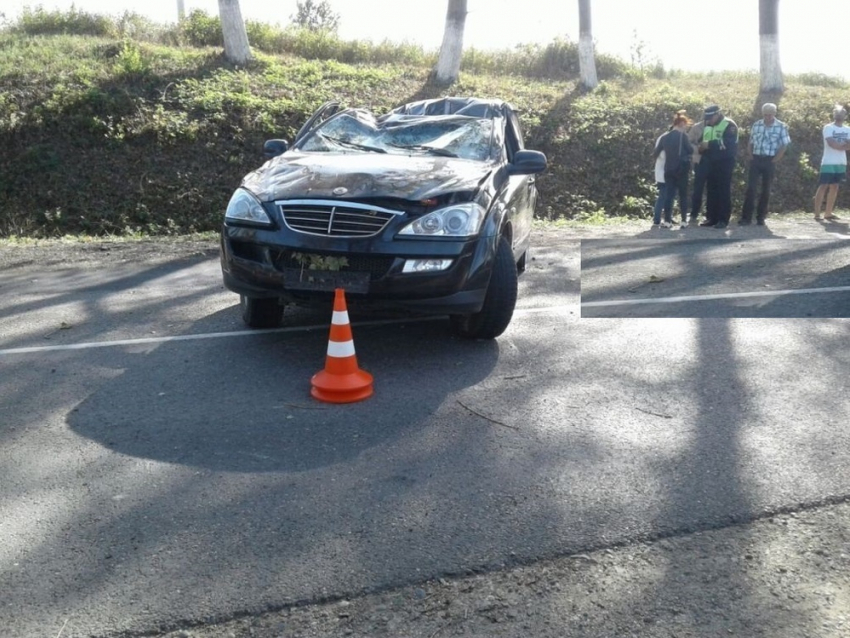 В Крымске свалившийся тополь убил водителя «Ссан Енг» 