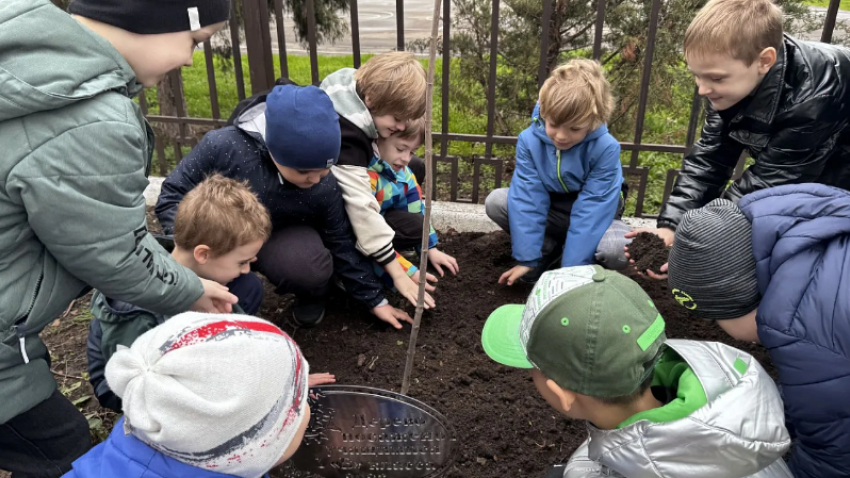 Юные краснодарцы своими руками делают город зеленее