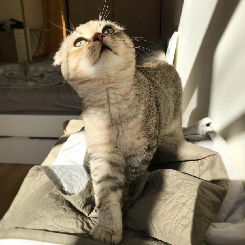 Весь день 25 мая в Краснодаре ясно и безоблачно