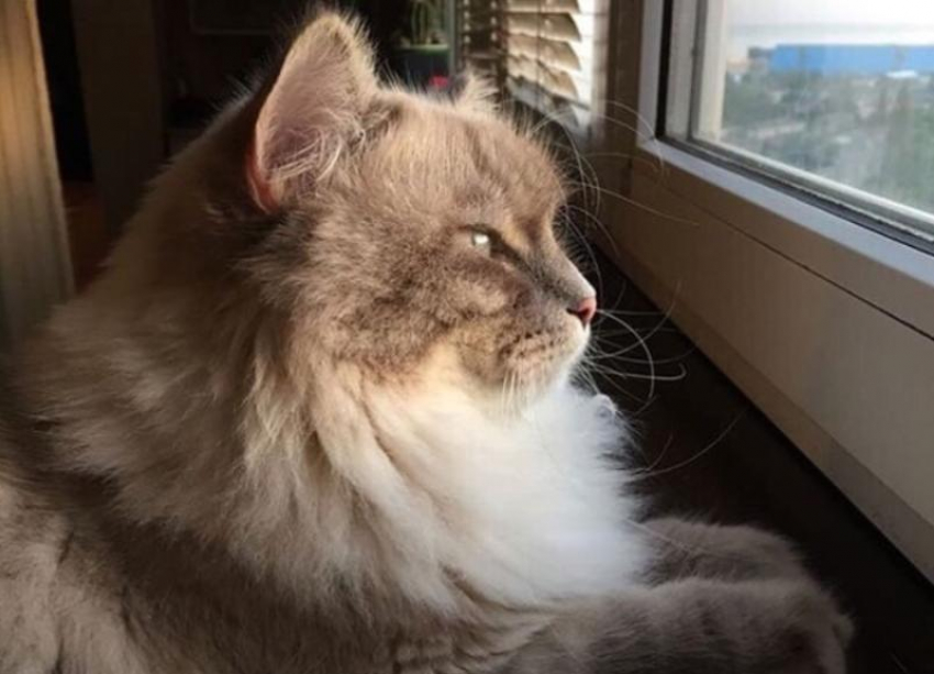 Дождь с грозой ожидается в Краснодарском крае 17 марта