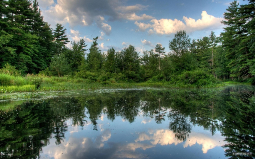 Утонул на глазах у гостей пляжа пьяный в Новокубанске