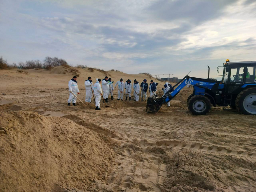 «Мазут не пройдет!»: в борьбу с экологической бедой в Анапе вступили футболисты, в их числе Матвей Сафонов