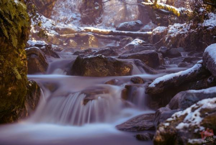 Сказочно красивые фотографии снегопада в Сочи появились в интернете