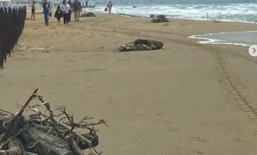 Пляж в Анапе восстановят после удара стихии к выходным