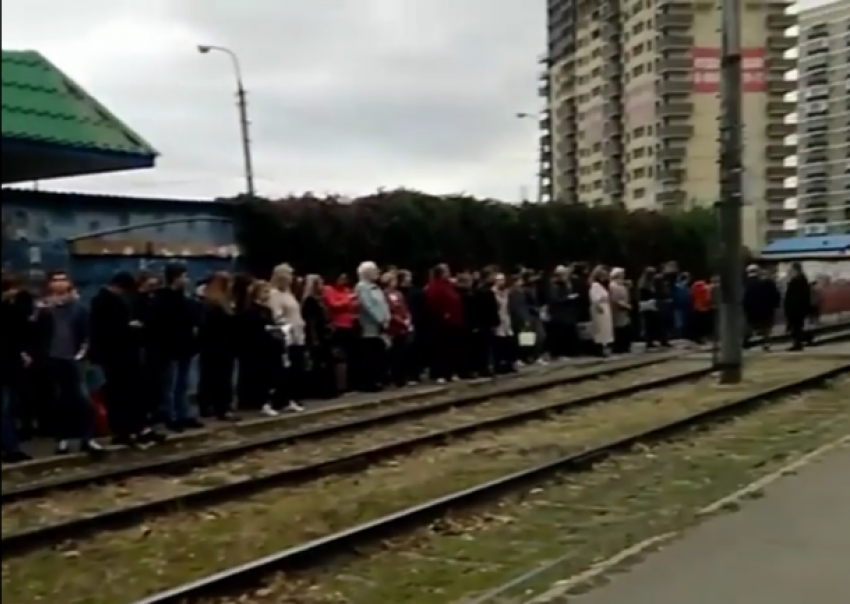  «Вот почему я опаздываю на работу», - Около сотни человек ждали трамвай в Краснодаре 