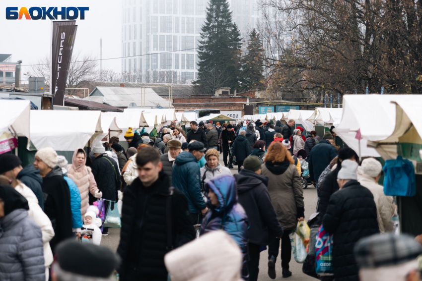 Ярмарки выходного дня возвращаются в Краснодар после месячного перерыва