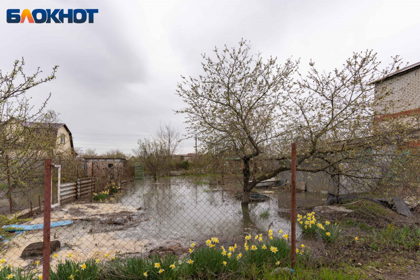 В Краснодарском крае затопило 469 домов и 1872 дворов