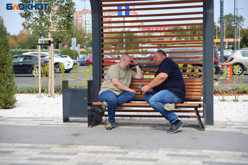 Последний теплый день перед похолоданием ждет Краснодар