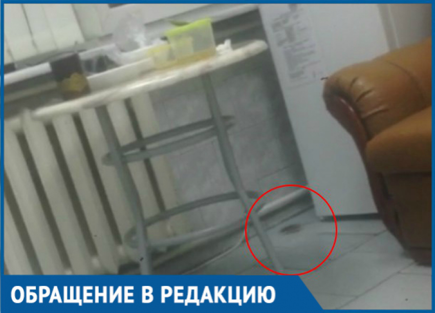 «По полу свободно бегают мыши», - жительница Краснодара рассказала о пребывании в ЗИПовской больнице