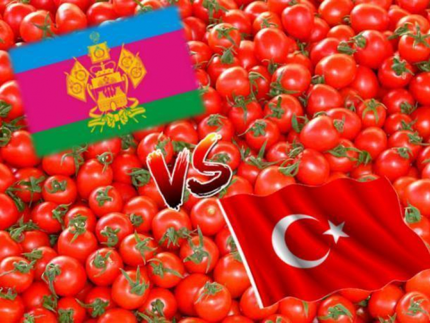 Вениамин Кондратьев: Турецкие томаты возвращаются на прилавки краснодарских магазинов 