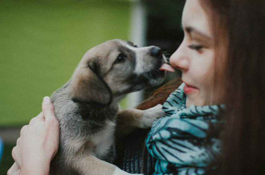 Власти города не будут закрывать «Краснодог»