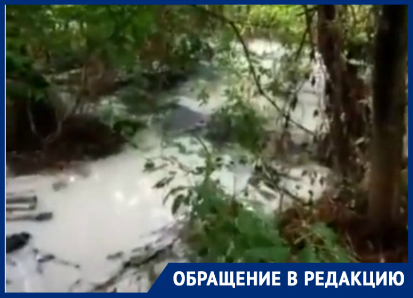 Жительница Кубани пожаловалась на ручей из химических вод
